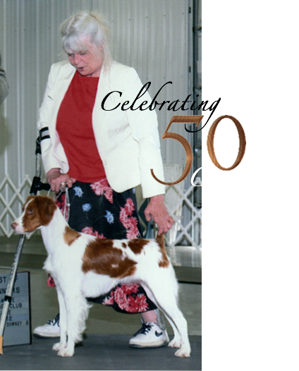 Our 50th Brittany Champion