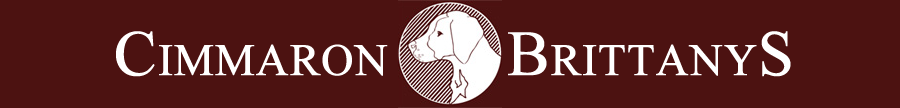Cimmaron Brittany Logo