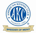 AKC Breeder of Merit